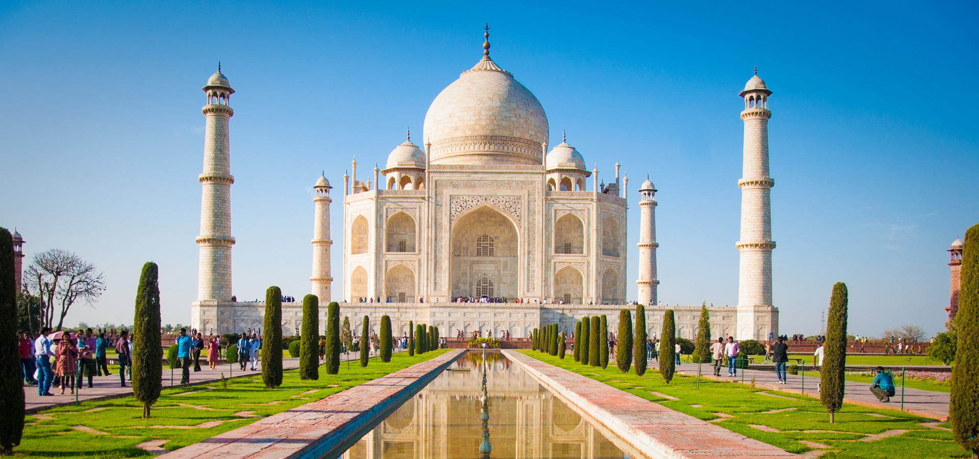 Golden Triangle Delight